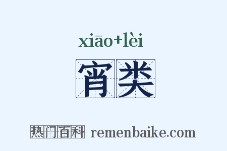 宵类是什么意思的图片